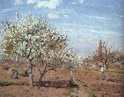 Camille Pissaro Orchard in Bloom at Louveciennes oil on canvas